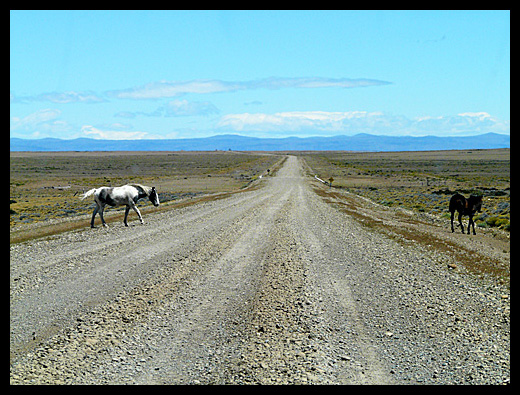 route 40 patagonie